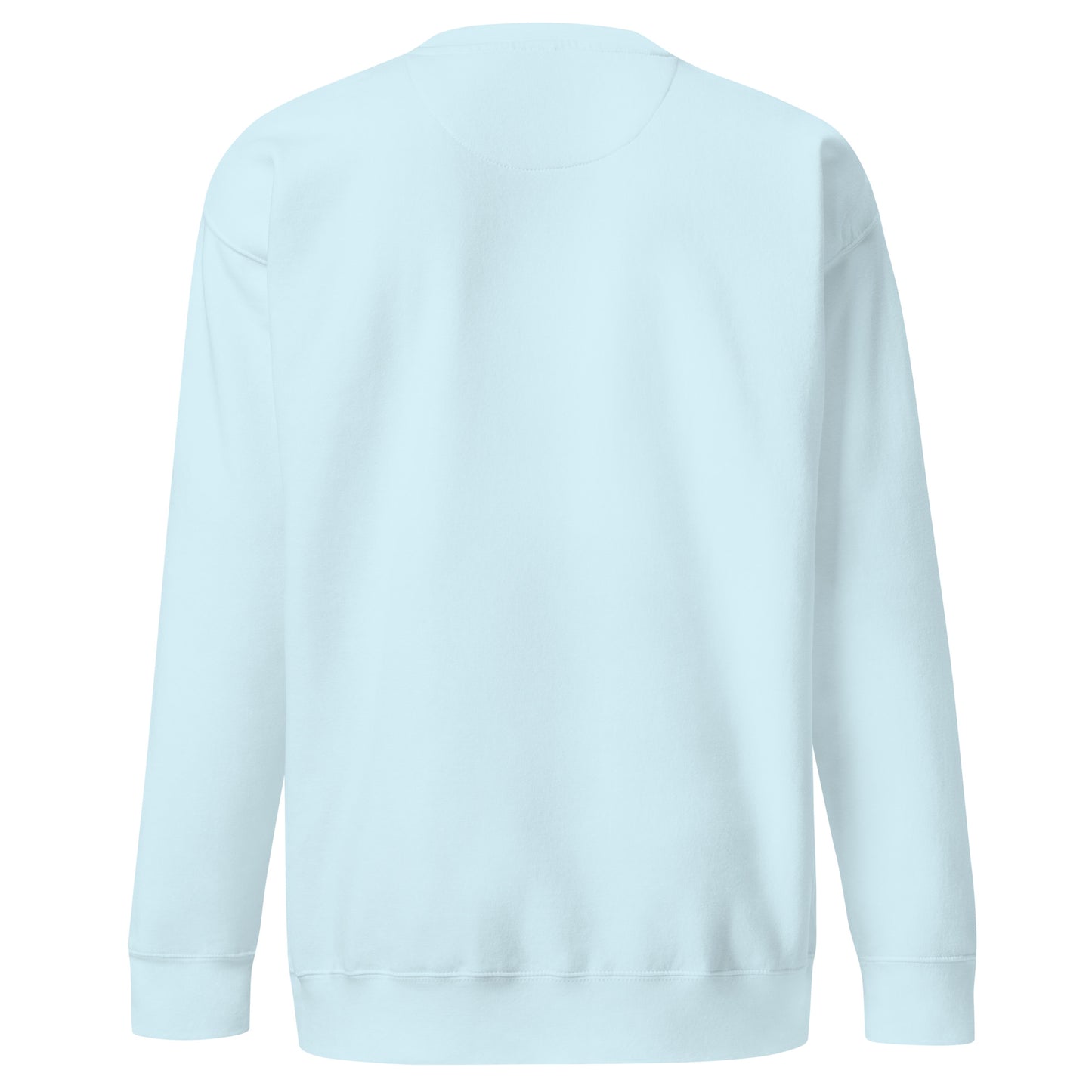 Aqua blue unisex Ctrl Padel clean sweatshirt shown from the back