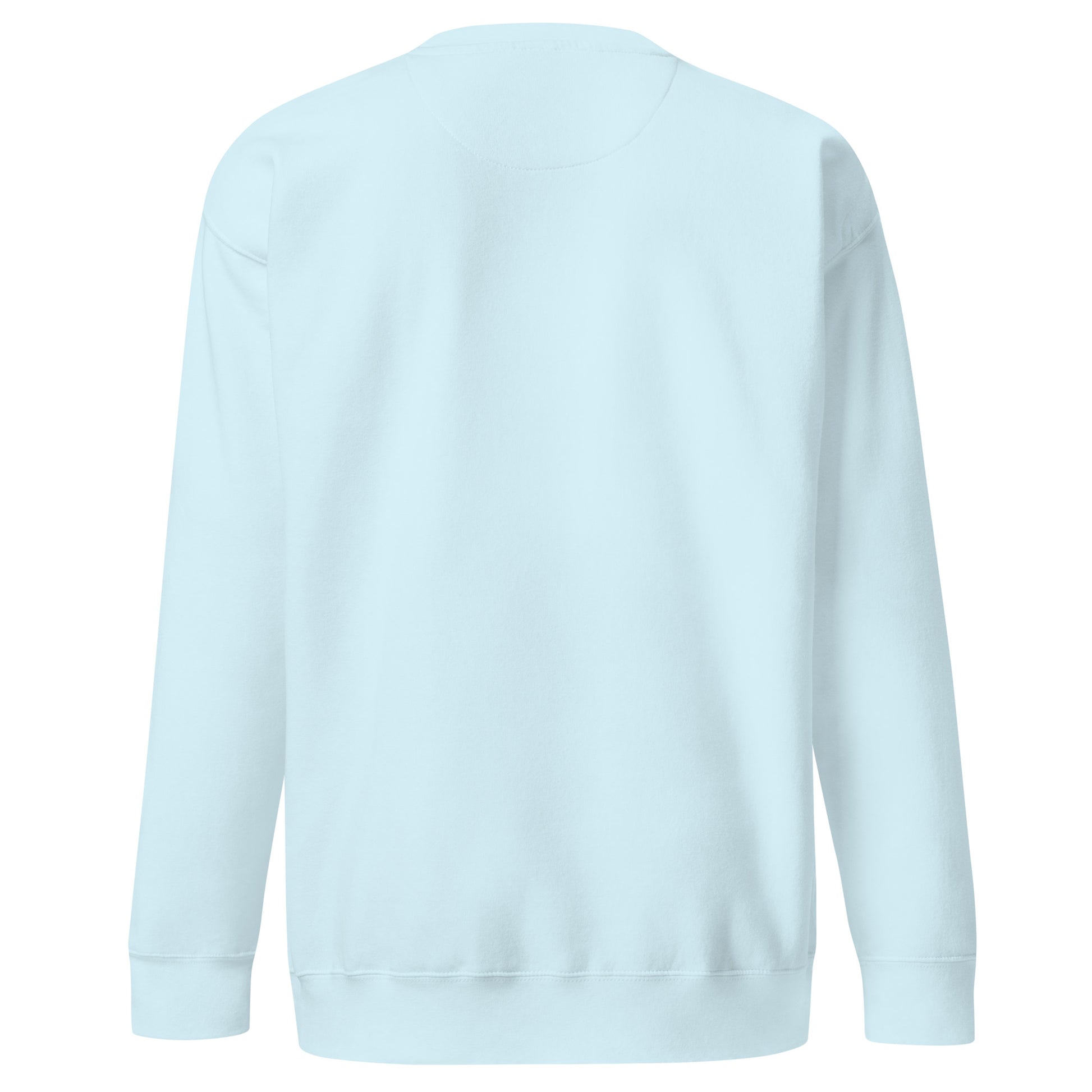 Aqua blue unisex Ctrl Padel clean sweatshirt shown from the back