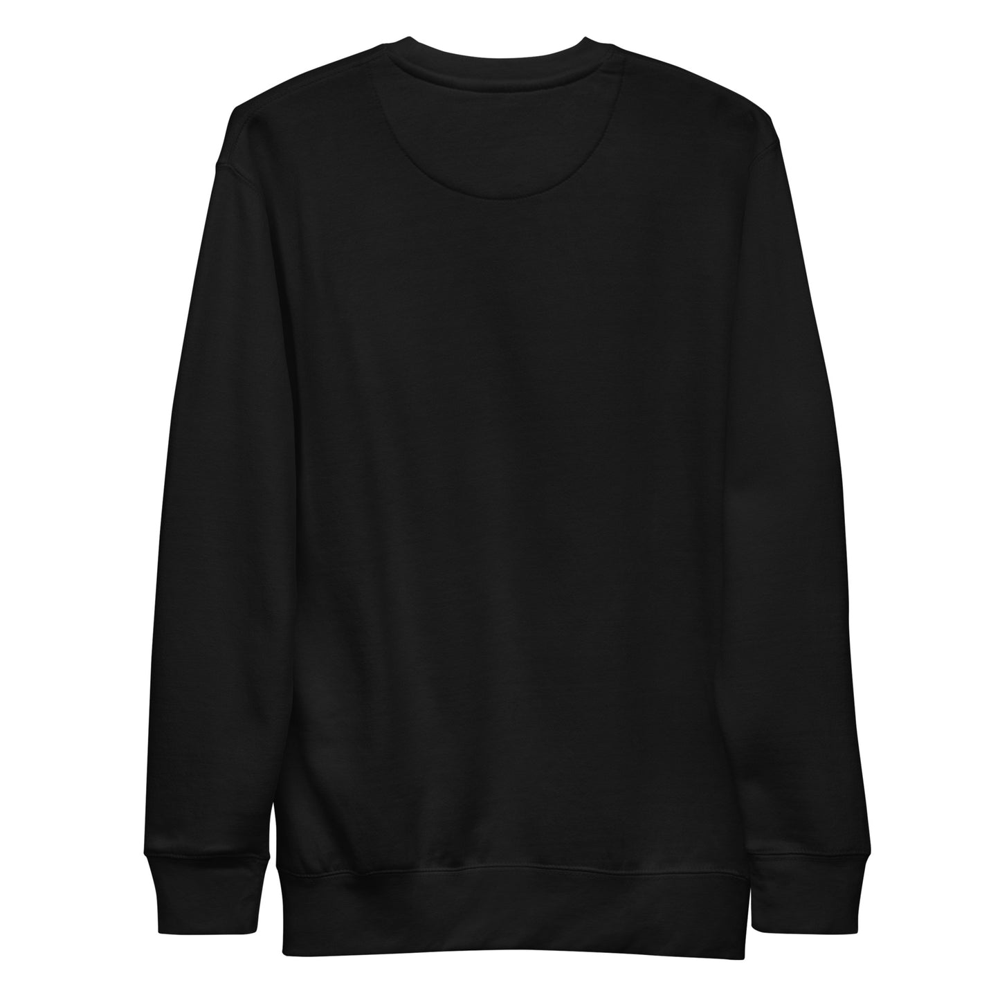Black unisex Ctrl Padel clean sweatshirt shown from the back
