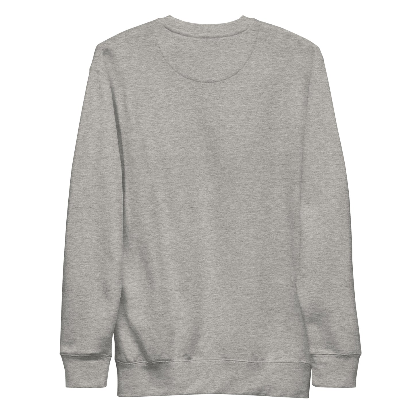 Grey unisex Ctrl Padel clean sweatshirt shown from the back