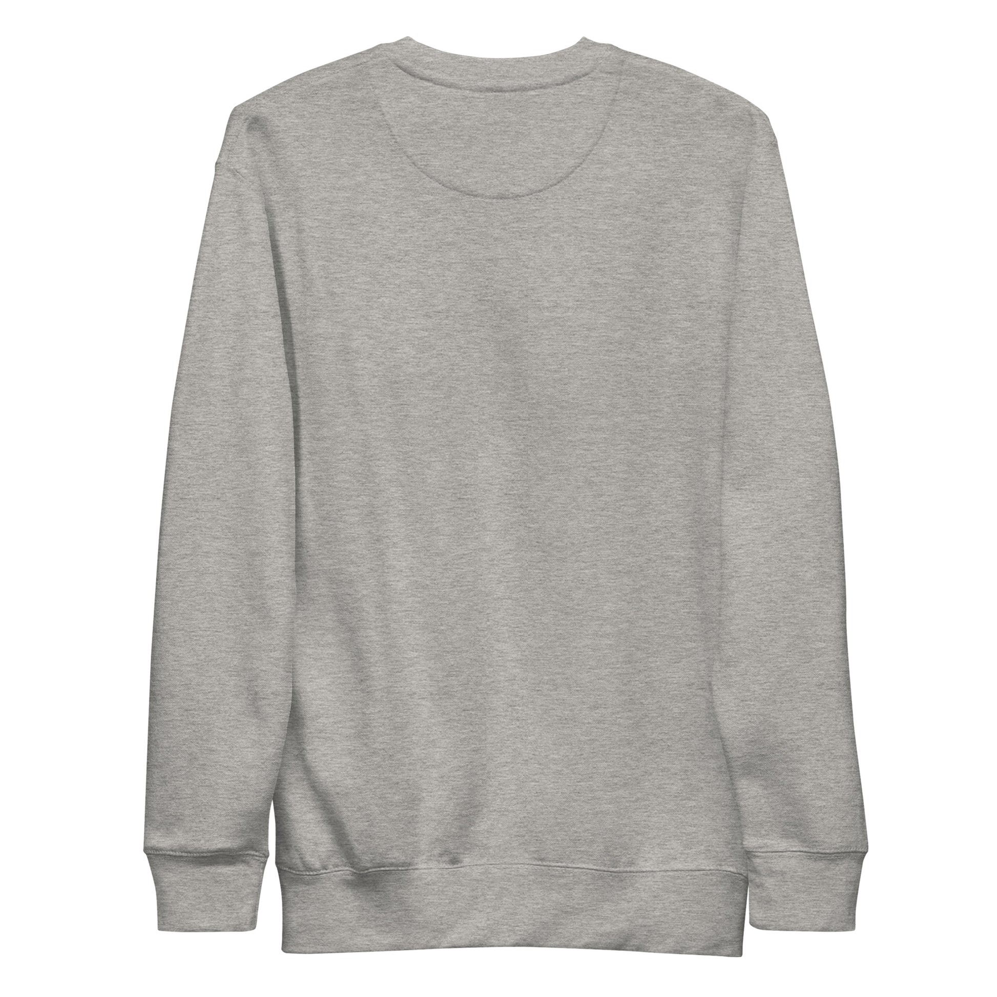 Grey unisex Ctrl Padel clean sweatshirt shown from the back