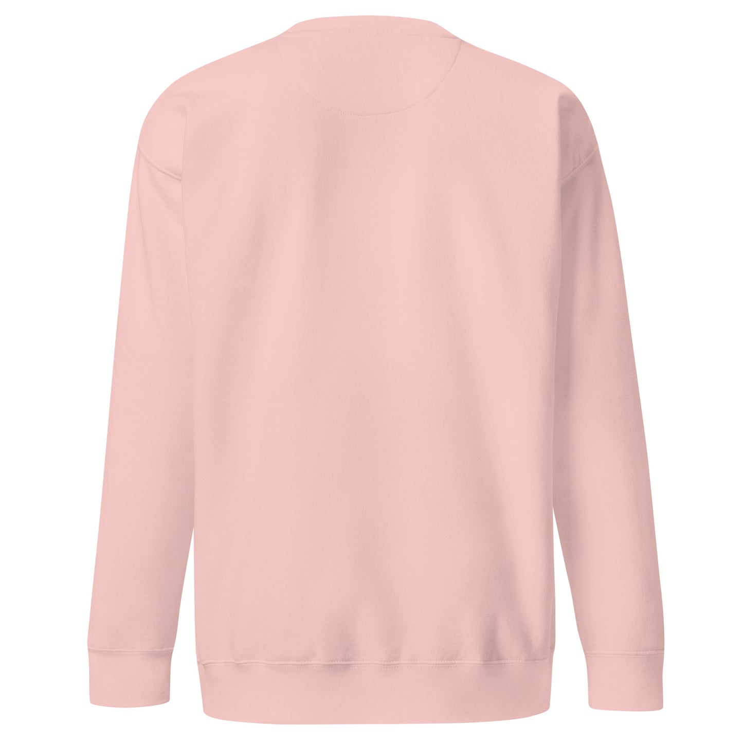 Light pink unisex Ctrl Padel clean sweatshirt shown from the back
