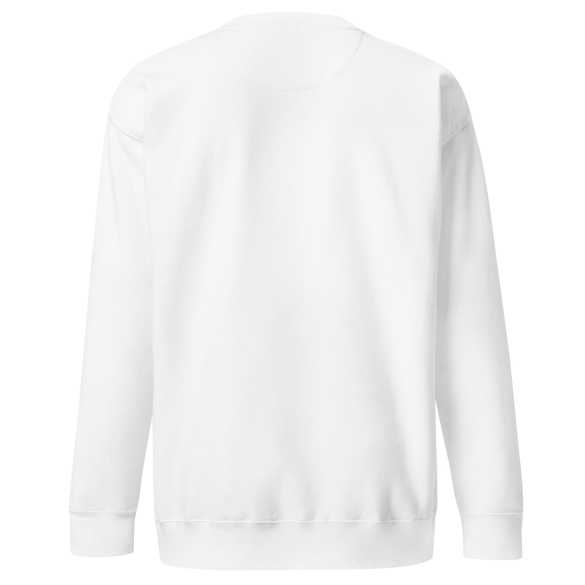 White unisex Ctrl Padel clean sweatshirt shown from the back